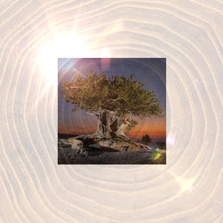 SkyDance Astrology