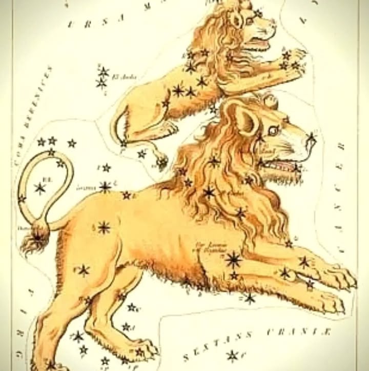 SkyDance Astrology