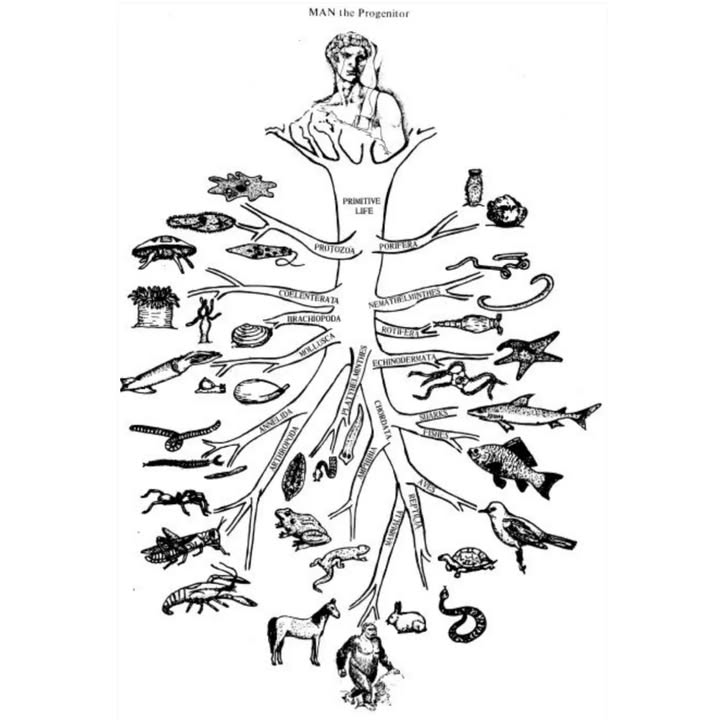 SkyDance Astrology