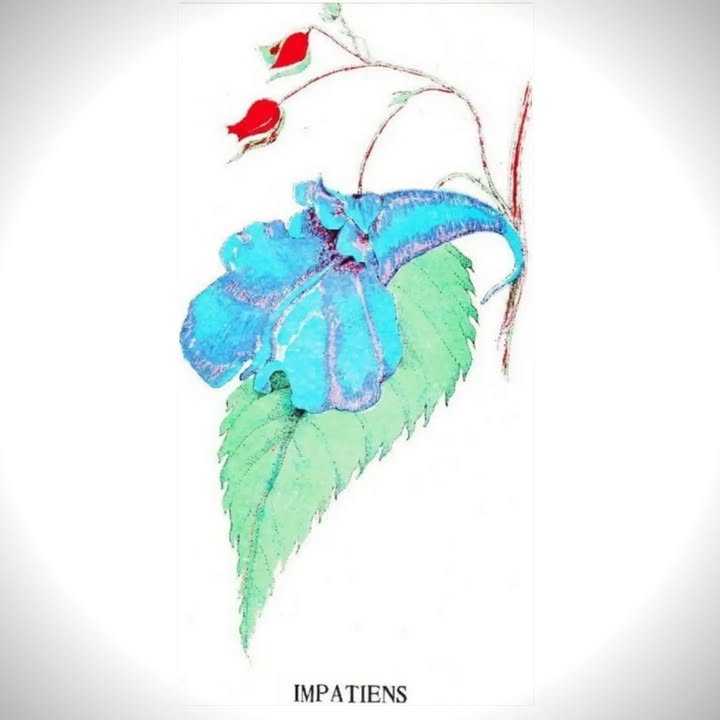 SkyDance Astrology