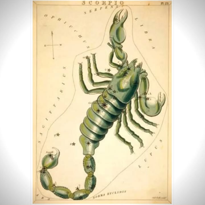 SkyDance Astrology